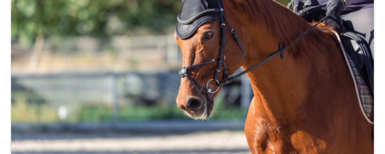 Spänningen i tyglarna kan minskas till hälften