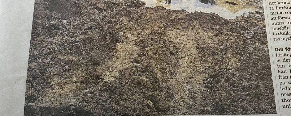 Skymning över Flyinge, del 6