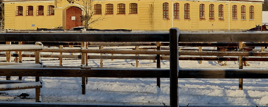 Skymning över Flyinge, del 2