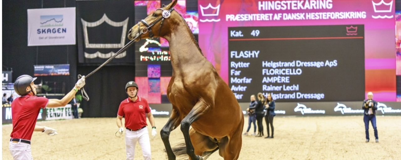 Hela havet stormar i dansk ridsport