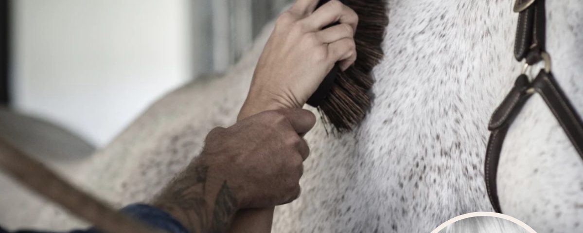 Catharina Hansson: ”Skärpta regler mot övergrepp. Blir ridsporten trygg på riktigt nu?”