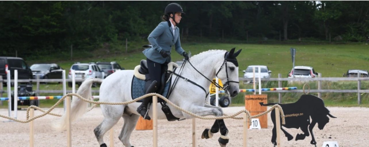 Bildfest – häng med till SM i WE