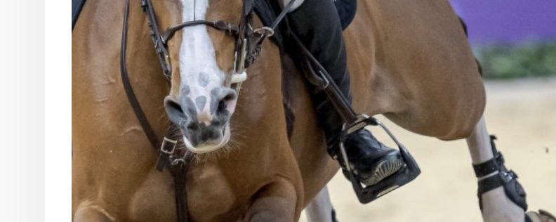 Kan banorna bli svårare, kan hästarna bli ännu mer atletiska?