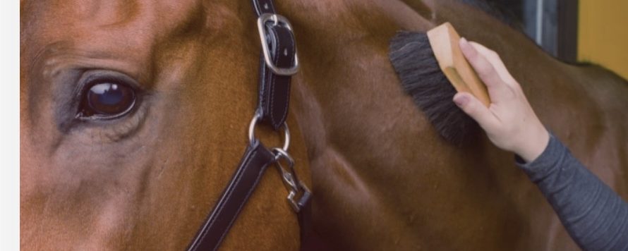 Natalie Oldfors: ”Dags att hylla det tysta arbetet bakom”