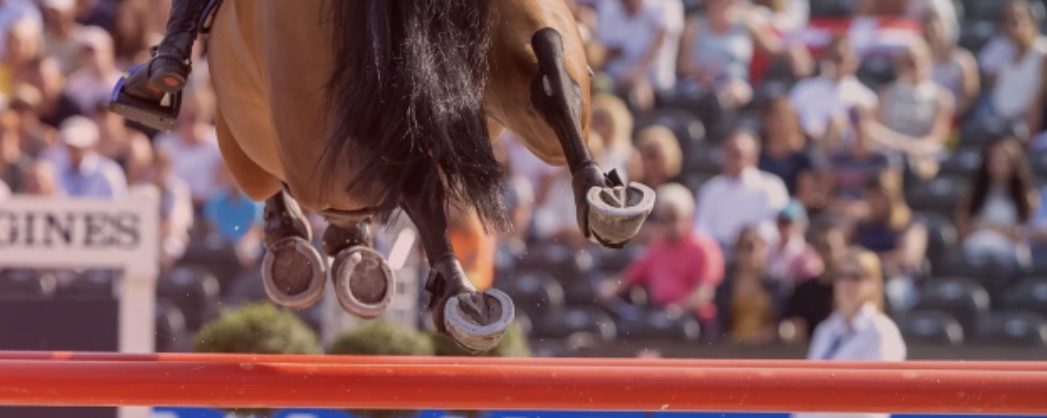 Per-Ola Forsberg: Varfär är eliten osynlig i hästvälfärdsdebatten?