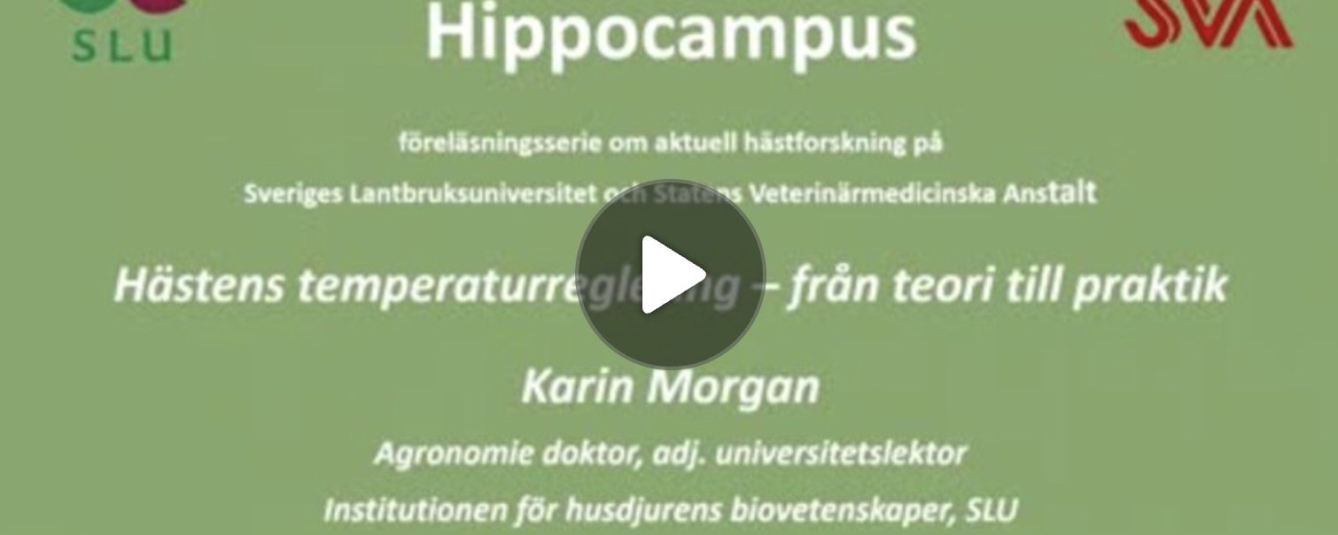 Hästforskare föreläser: Hästens temperaturreglering, täcke och klippning