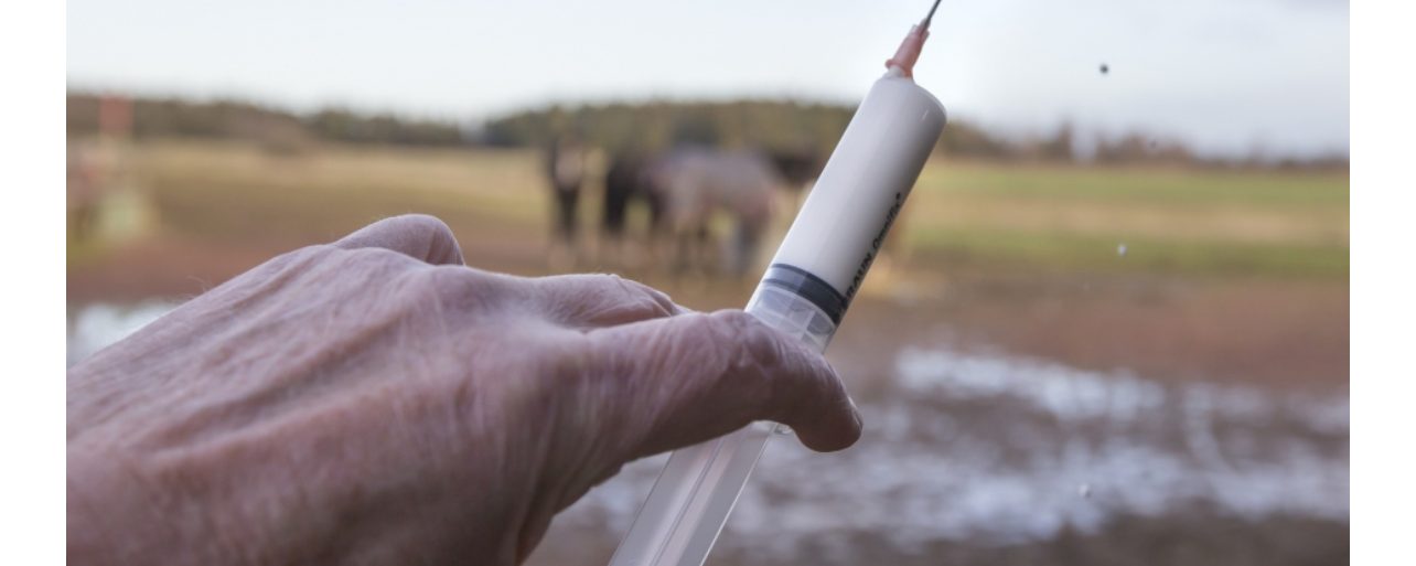 SVA: Bättre att förebygga än att behandla (kvarka)