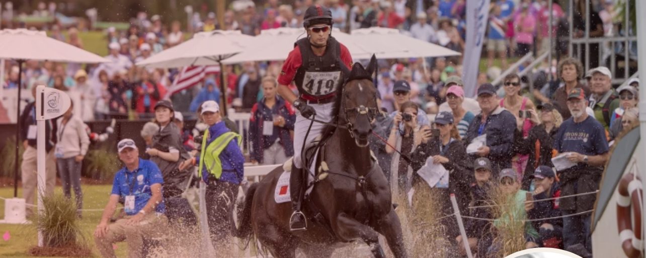 Annelie Frank: ”Allt som kan klassas som bakåtsträvande kommer att vändas emot oss”