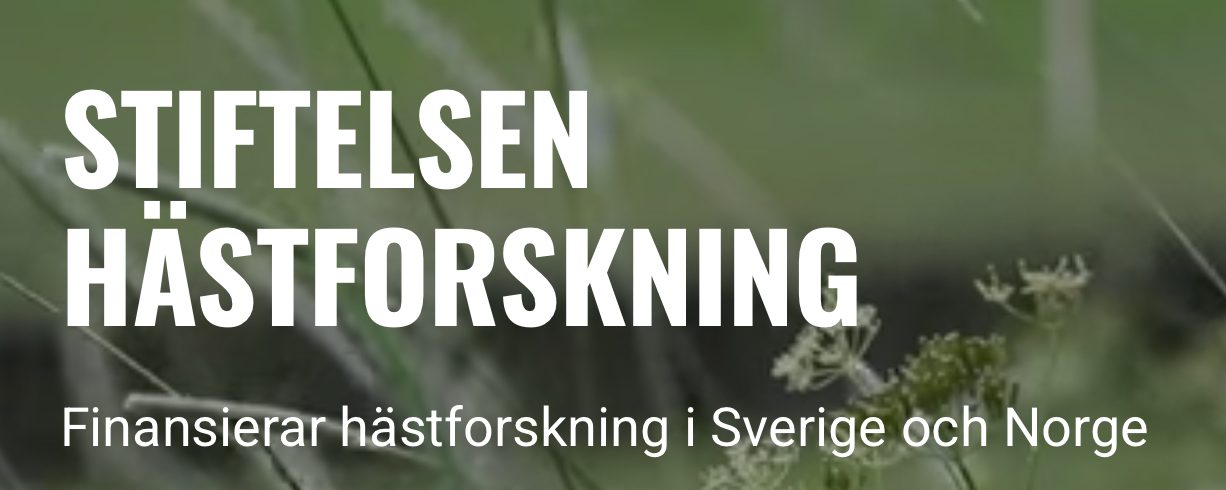 Sex nya forskningsprojekt beviljas medel