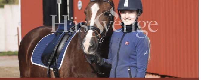 Hästutbildningar i Sverige