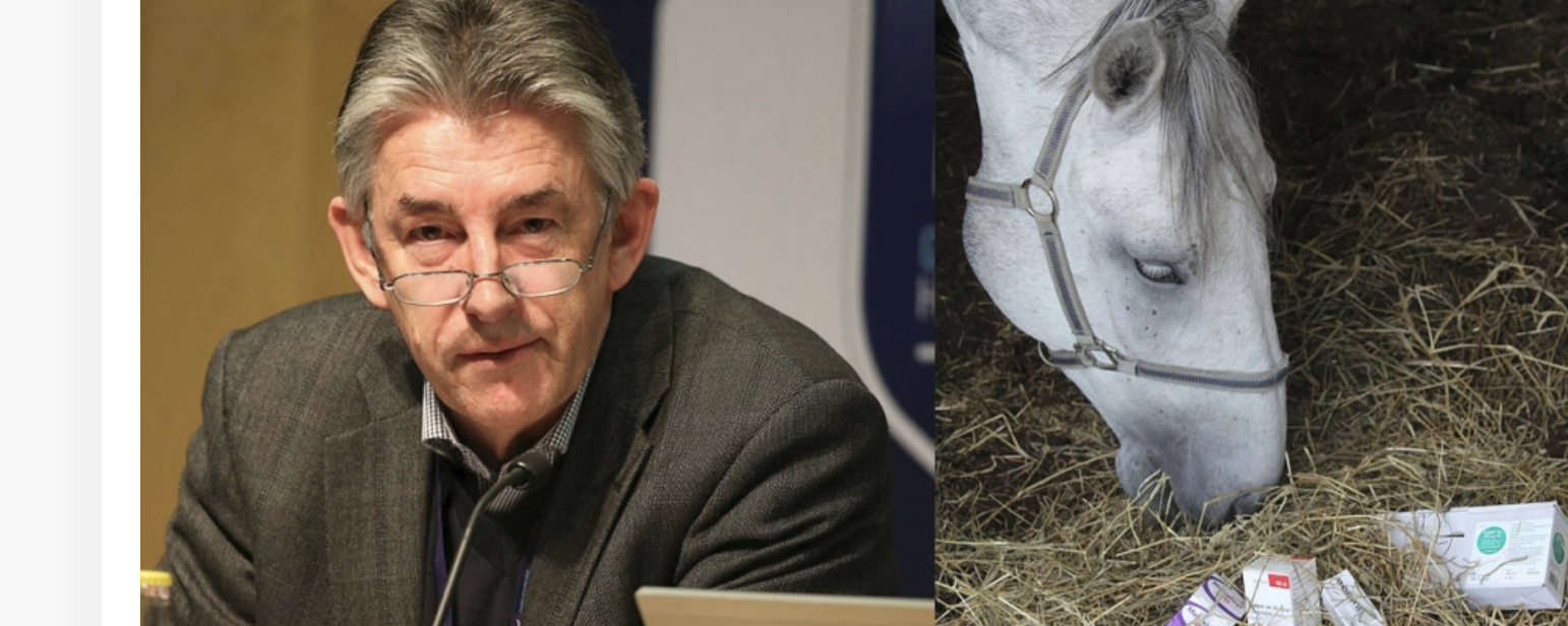 Peter Kallings replikerar: ViLA inget verktyg för bättre smitt- och djurskydd för häst