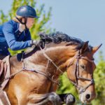 Profilbild för Olivia Paulsson